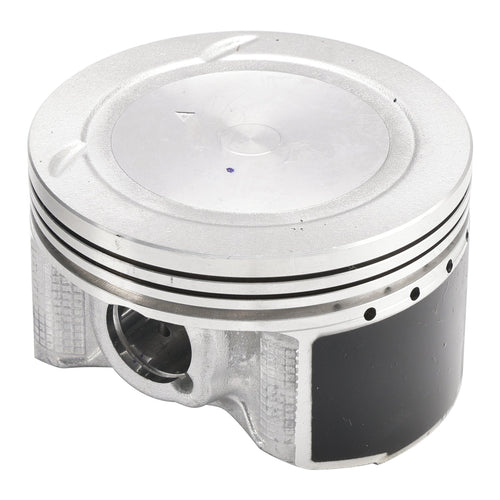 Guardxmoto 1998-2001 Grizzly 600 Motorcycle Engine Cylinder  Generic